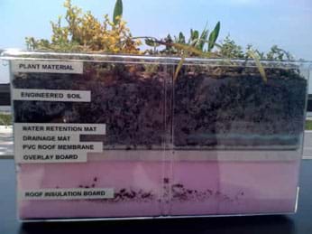 Photo shows a see-through plastic tub with identified layers from bottom to top: roof insulation board (thick pink layer), overlay board, PVC roof membrane, drainage mat, water retention mat, engineered soil, plant material.