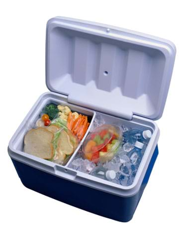 insulated food cooler