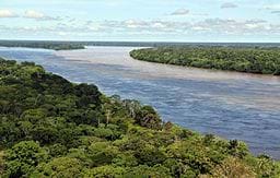 An aerial view of the Amazon rainforest showing a wide river winding through dense green forests.