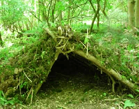 A shelter made of big leaves, plants and sticks in the forest.