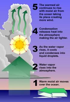 A diagram illustrates the process of water vapor rising and condensing to form clouds. Step 1: Warm moist air moves over the ocean. 2: Water vapor rises into the atmosphere. 3: As the water vapor rises, it cools and condenses into liquid droplets. 4: Condensation releases heat into the atmosphere, making the air lighter. 5: The warmed air continues to rise with moist air from the ocean taking its place, creating more wind.