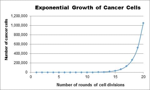A line graph shows the exponential growth of cell division. The x-axis is titled "number of rounds of cell divisions" and the y-axis is titled "number of cancer cells."