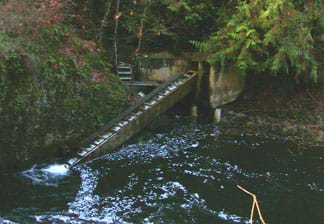Photo shows rising water-covered steps coming out of a river, parallel to the river.