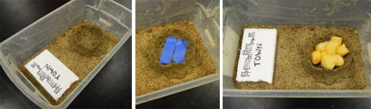 Three photos show (left) added to the tub of sand described in Figure 1, a "nest" of clay in the tub, far away from the town, (middle) two strips of blue plastic laid inside the clay "nest," and (right) about 10 wet, yellowish cotton balls filling the plastic-lined clay "nest."