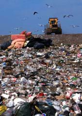 Photo shows a bulldozer and flying birds near a heap of garbage in a landfill.