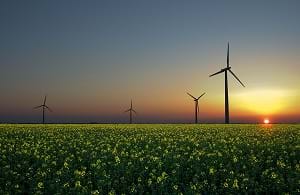 A field of wind turbines illustrating alternative renewable energy.
