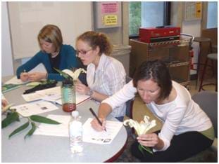 Photo shows three woman at a table closely examining lilies and sketch ideas.