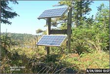 Two shiny blue grid panels angled towards the sun from a two-legged wooden post structure in a forest clearing.