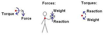A stick-man with a book in his outstretched hand. Straight arrows indicate forces (in the form of weight and reaction), and curved arrows indicate torques (in the form of weight and reaction).