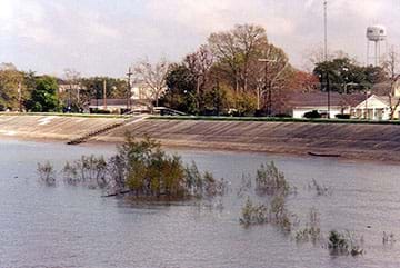 The Mississippi River levee at Gretna, Louisiana. The image shows high water on the Mississippi covering plants along the river side of the levee; the levee protects the town of Gretna from flooding. 