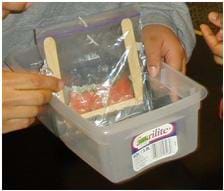 A photo shows a plastic tub with water, sand, a plastic sheet and a structure made with Popsicle sticks.