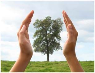 A photograph of a single tree in a field. Transposed over the top of the image, huge hands are cupping the tree on each side.