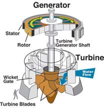 Line drawing shows parts of a generator and turbine, including turbine generator shaft, rotor, stator, wicket gate and turbine blades.