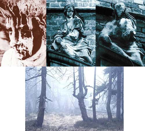 Four photographs: Three show the physical deterioration of outdoor statues. One shows dying trees in a forest.