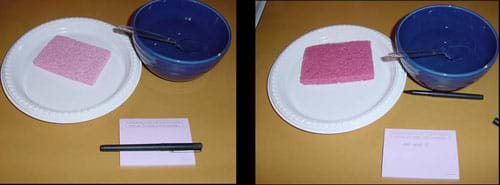 Two photos show the activity set-up before and after the experiment. The "after" sponge that has water in it is much darker than the dry one.