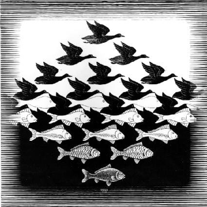 A line drawing that repeats the image of a flying bird with subtle changes until the negative spaces between the images start to resemble fish and the birds become the negative space between the fish images.