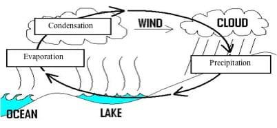 Sketch of lake, ocean, clouds, wind and rain illustrates evaporation, condensation and precipitation.