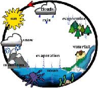 Cyclic diagram shows the sun, clouds, trees, mountains, ocean and waterfall, linked by evaporation, transpiration and precipitation. 