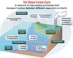 Diagram shows a network of interrelated processes that transport carbon between different reservoirs on Earth.