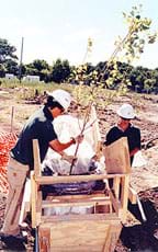 Two people with hardhats prepare to plant a young tree in soil.