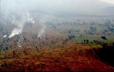 Photo shows barren landscape, devoid of trees. Plumes of smoke are coming off recently burned land.
