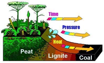 Diagram shows formation of coal from peat (a carbon-containing substance) into lignite and into coal over the passage of time while subjected to high pressures and heat.