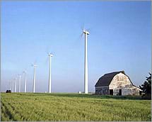 Photo shows many tall wind turbines near a barn and fields of crops. 