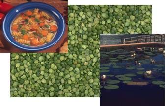 Three overlaying photographs of a bowl of soup, a grouping of peas and a pond.
