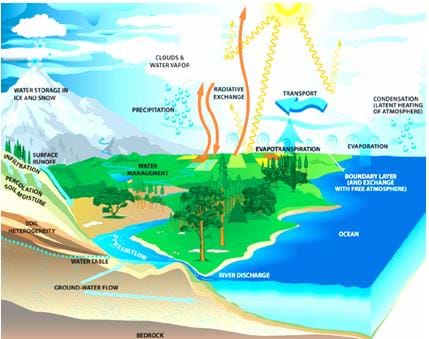 A colorful drawing depicting the water cycle. Shown is a landscape with mountains. A blue river flows from the mountains through farmland and trees, and finally into an ocean. Arrows depict all of the process of the water cycle: evaporation, transpiration, condensation and precipitation.