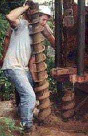 Photo shows a man drilling a hole in the ground with a drill (auger) that is as big as he is.