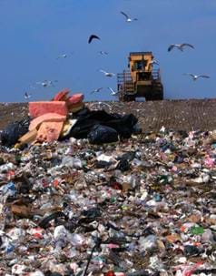 A colorful photograph of a garbage landfill show acres of trash with a big bulldozer and hovering vultures.