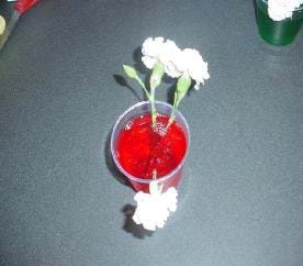 A photograph of a cup containing red-colored, contaminated water and three carnations.