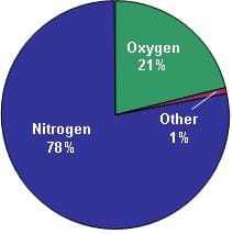 Image of a pie chart showing 21% oxygen (green), 78% nitrogen (blue), and 1% other (brown), representing the composition of the Earth's air.