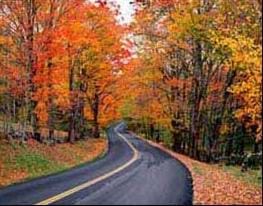 A photograph shows a two-lane road leading through a colorful thicket of trees.