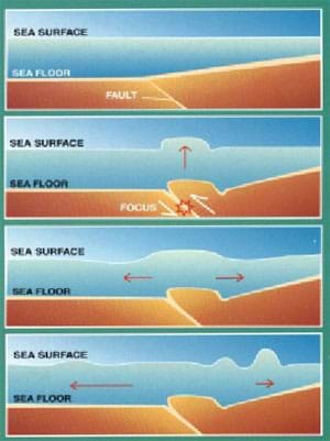 A four-stage diagram shows an underwater earthquake violently pushing up the sea floor, which in turn pushes up the water above the fault location. This water ripple becomes a giant wave as it approaches the shallow water near shore.