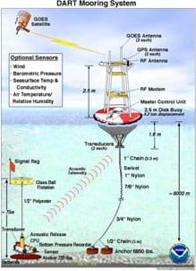 A diagram shows a bottom pressure recorder on the ocean floor sending sensor information to a buoy floating on the water surface, which relays the signal to a satellite.
