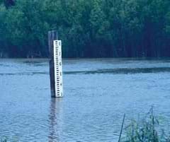 Photo shows a tall white post in the midst of a body of water.