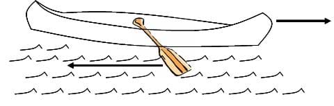 A line drawing shows a canoe with one paddle in the water. Arrows show that the motion of the paddle on the water causes the canoe to move in the other direction.