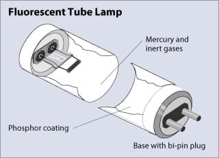 A drawing of a fluorescent tube lamp with phosphor coating, mercury and inert gases, and base with bi-pin plug identified.