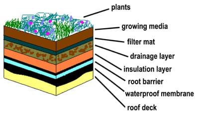 Diagram shows a cut-away drawing of a roof garden with layers identified (bottom to top): roof deck, waterproof membrane, root barrier, insulation layer, drainage layer, filter mat, growing media (soil) and plants.