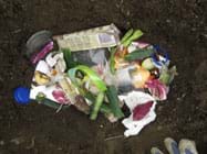 Photo shows view from above of a hole in the ground filled with assorted trash (vegetable peelings, packaging wrappers, tissue, egg shells, tea bag, can lid, plastic lid). 
