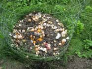 Photo shows a 3-ft high open wire cage enclosing a pile of vegetable trimmings and egg shells in a grassy backyard.