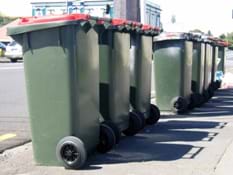 Photo shows trashcans lined up on the curb on waste collection day.