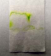Photo shows what looks like a white paper napkin with yellow and green stains.