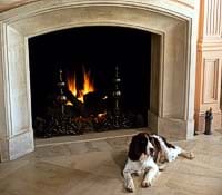 Photo of a dog sitting in front of a fireplace.