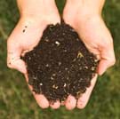 preview of 'Composting – Nature's Disappearing Act' Activity