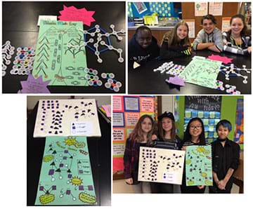 Four photographs show students demonstrating examples of their work using molecular model sets as well as posters for which they created infographics that describe how to model the reactions.
