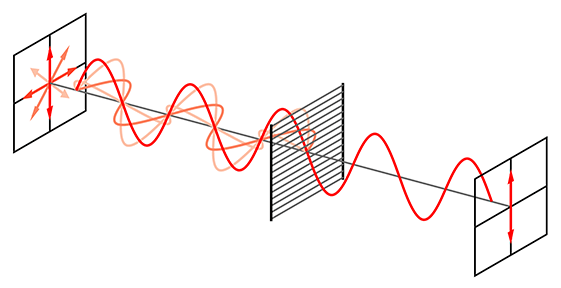 A line diagram shows two screens and a wire-grid polarizing filter. On the first screen, on the left, many orientations of light are shown, traveling in a sinusoidal path towards a filter. After the filter, only a vertical polarization of light remains to travel on towards the second screen.