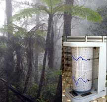 A photograph shows a foggy jungle with lush ferns and greenery. A smaller inset photo shows a spinning roller device with two pens that continuously records relative humidity measurements in the field.