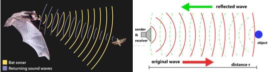 A drawing shows a bat using emitted and returning sound waves to detect an insect. A line drawing shows a device emitting waves a distance r towards an object and reflected waves returning to the device.